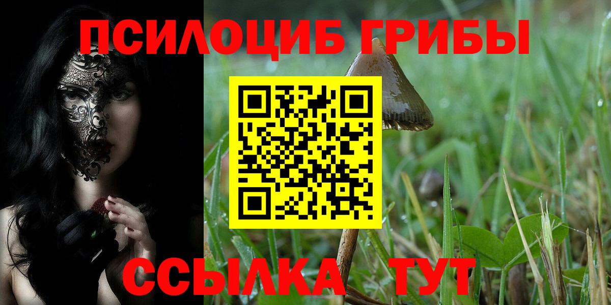 Галлюциногенные грибы мицелий  где можно купить наркотик  Кумертау  Вход с VPN  Галлюциногенные грибы прущие грибы 